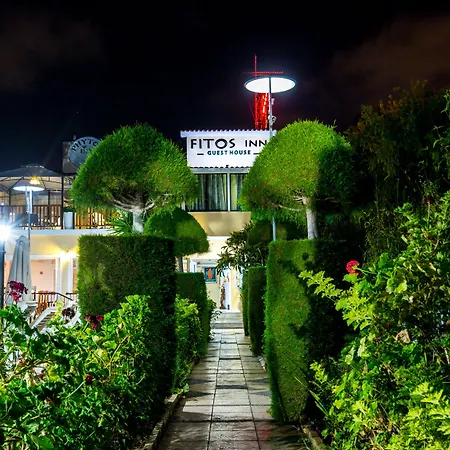 Fitosinn